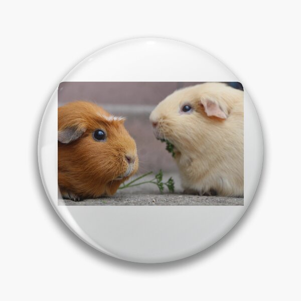 Item preview, guineas pigs designed and sold by Oscarken.