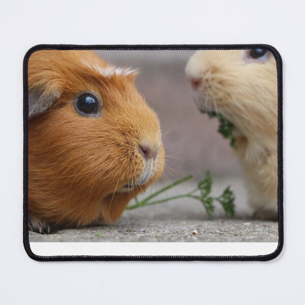 Item preview, guineas pigs designed and sold by Oscarken.