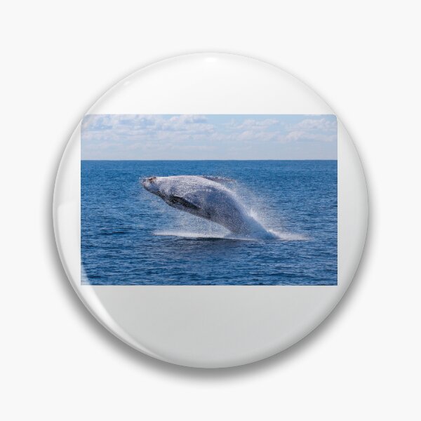 Item preview, walvis  designed and sold by Oscarken.