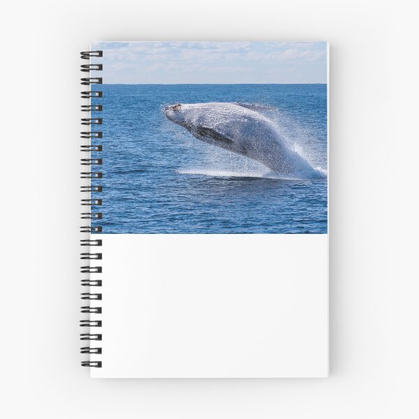 Item preview, walvis  designed and sold by Oscarken.