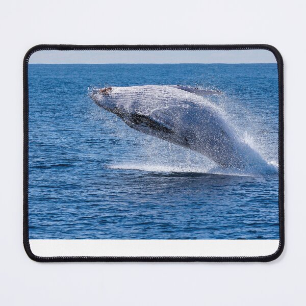 Item preview, walvis  designed and sold by Oscarken.