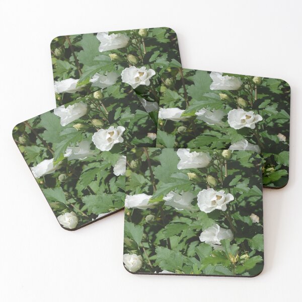 Item preview, C2025  Steve Yellowbear White Line Of Blooms designed and sold by SteveYellowbear.