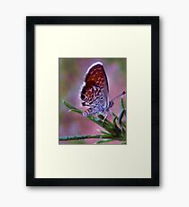 Little Miss ...Fabulous Framed Print