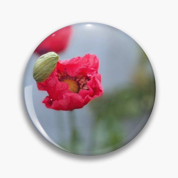 Item preview, Poppy at Dawn designed and sold by ArtGlassStudio.