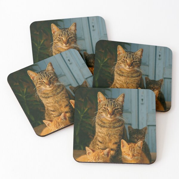 Item preview,  "Trio Felino ao Entardecer" designed and sold by Leonornature.