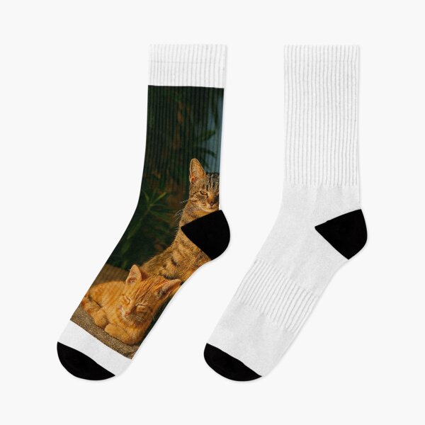 Item preview,  "Trio Felino ao Entardecer" designed and sold by Leonornature.