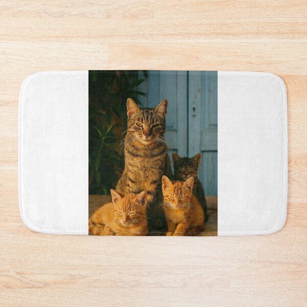 Item preview,  "Trio Felino ao Entardecer" designed and sold by Leonornature.