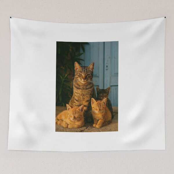 Item preview,  "Trio Felino ao Entardecer" designed and sold by Leonornature.