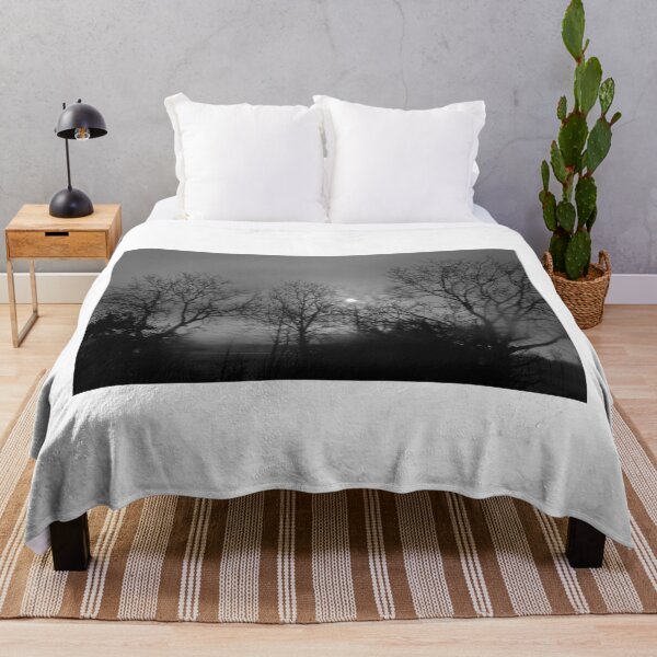 Item preview, Melancholic atmosphere in the forest – Light and shadows in monochrome designed and sold by Schoenenwald - Illustrations Uniques et Originales.