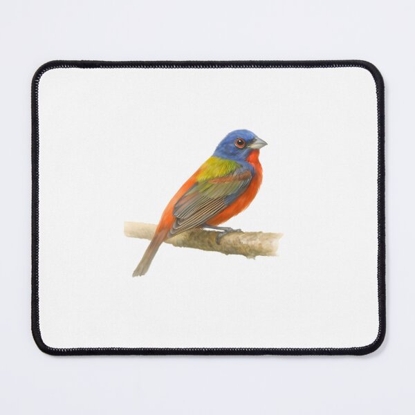 Item preview, Painted Bunting (Passerina ciris) designed and sold by HOMETOWN86.
