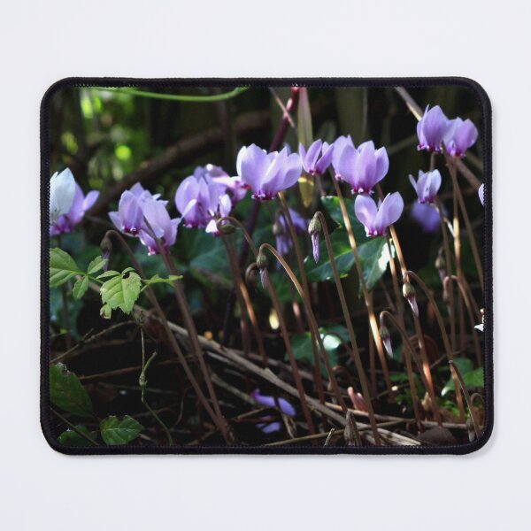 Item preview, Woodland cyclamen designed and sold by missmoneypenny.