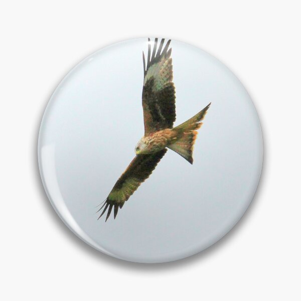 Item preview, Red kite overhead designed and sold by missmoneypenny.