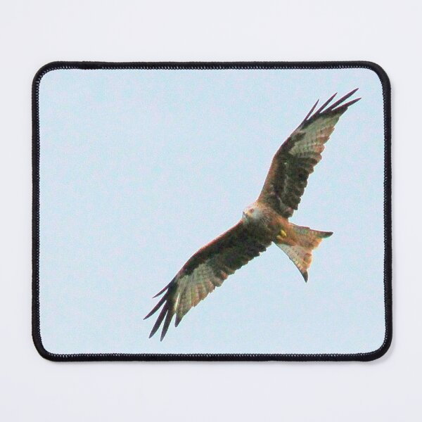 Item preview, Kites in flight designed and sold by missmoneypenny.