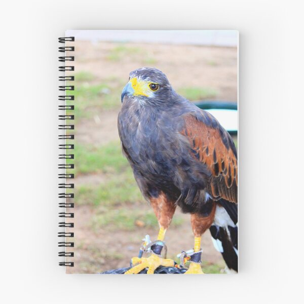 Item preview, Buzzard designed and sold by missmoneypenny.