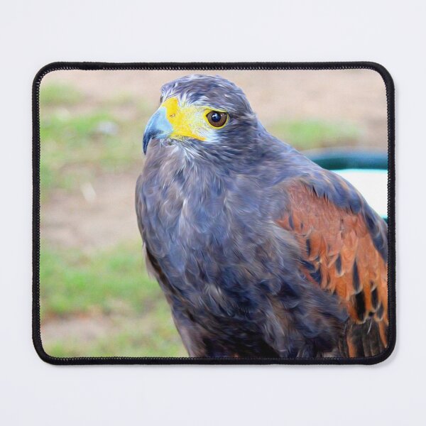 Item preview, Buzzard designed and sold by missmoneypenny.