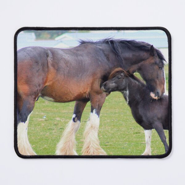 Item preview, Mutual grooming - horses designed and sold by missmoneypenny.