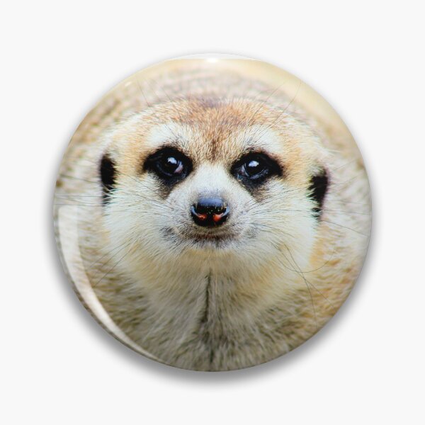 Item preview, Bemused meerkat designed and sold by missmoneypenny.