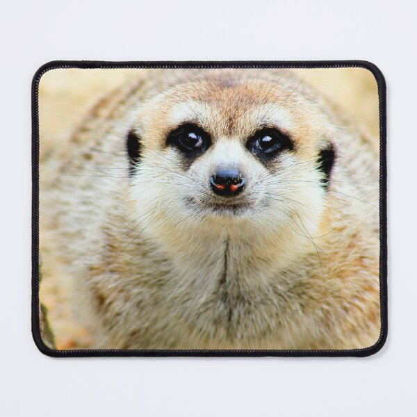 Item preview, Bemused meerkat designed and sold by missmoneypenny.