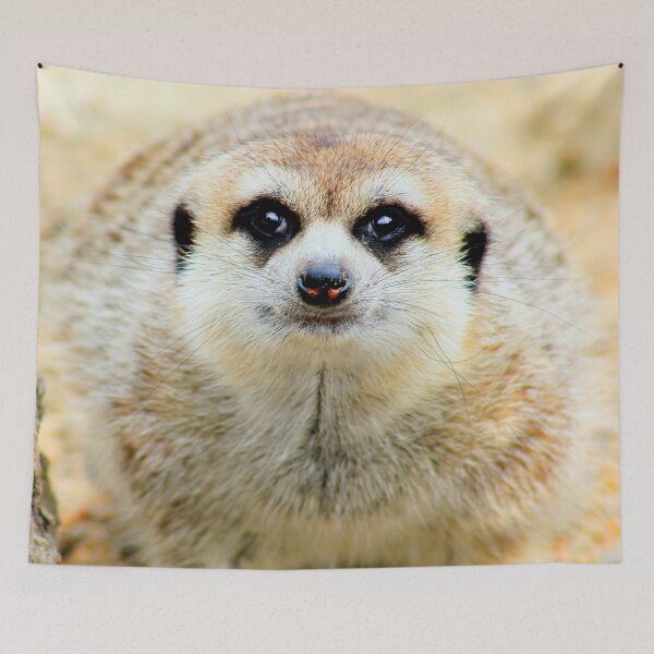 Item preview, Bemused meerkat designed and sold by missmoneypenny.