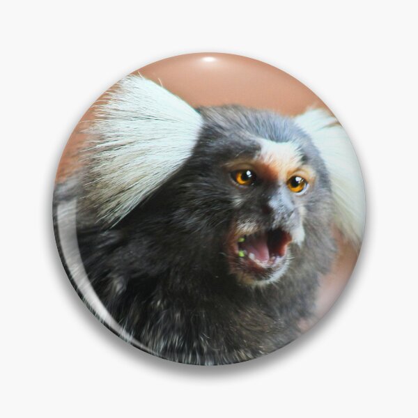 Item preview, Chatty marmoset designed and sold by missmoneypenny.