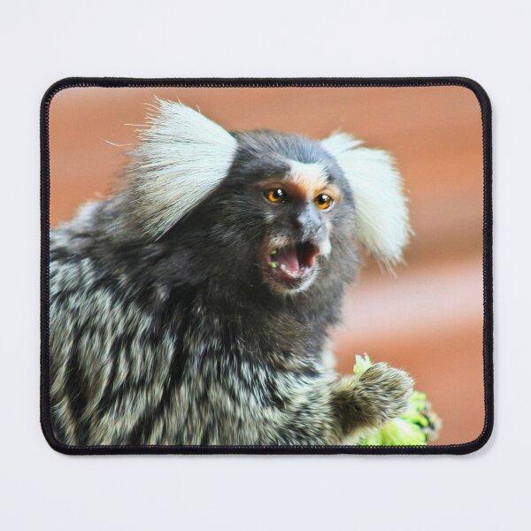 Item preview, Chatty marmoset designed and sold by missmoneypenny.