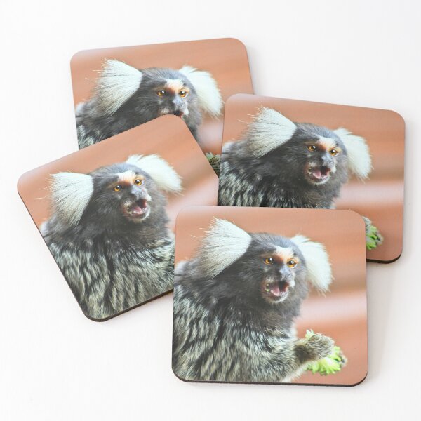 Item preview, Chatty marmoset designed and sold by missmoneypenny.
