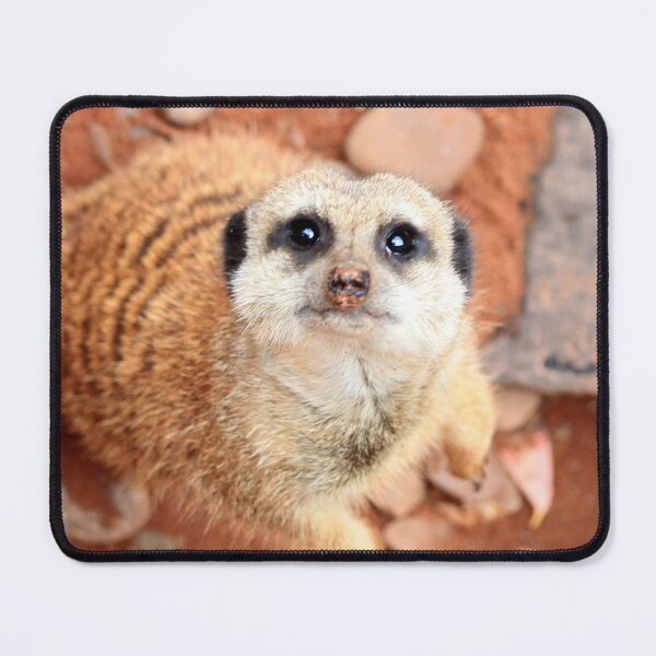 Item preview, Will you pick me up? designed and sold by missmoneypenny.