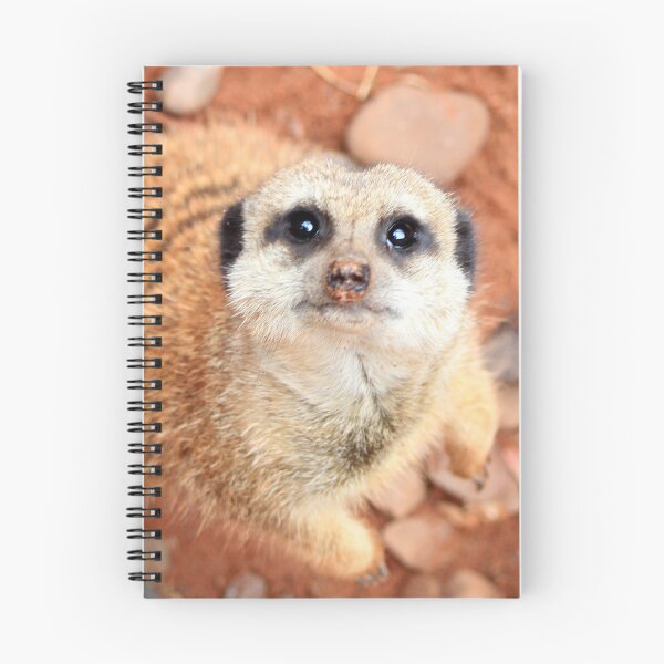 Item preview, Will you pick me up? designed and sold by missmoneypenny.