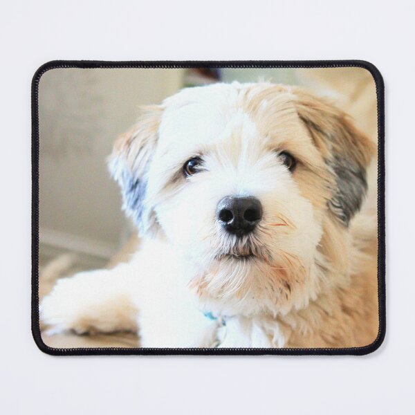 Item preview, Gizmo designed and sold by missmoneypenny.