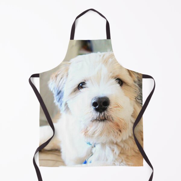 Item preview, Gizmo designed and sold by missmoneypenny.