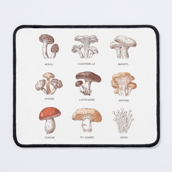 Item preview, Mushroom ID Chart • Minimal Field Poster Guide designed and sold by Blok45.