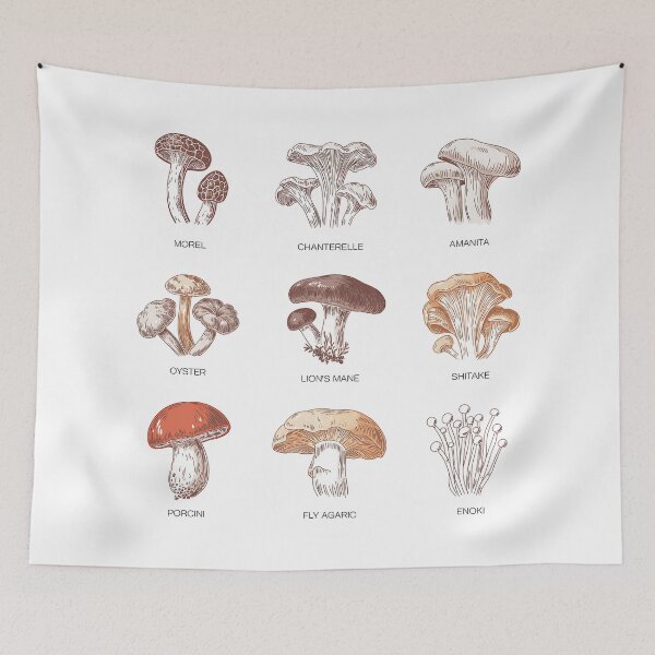 Item preview, Mushroom ID Chart • Minimal Field Poster Guide designed and sold by Blok45.