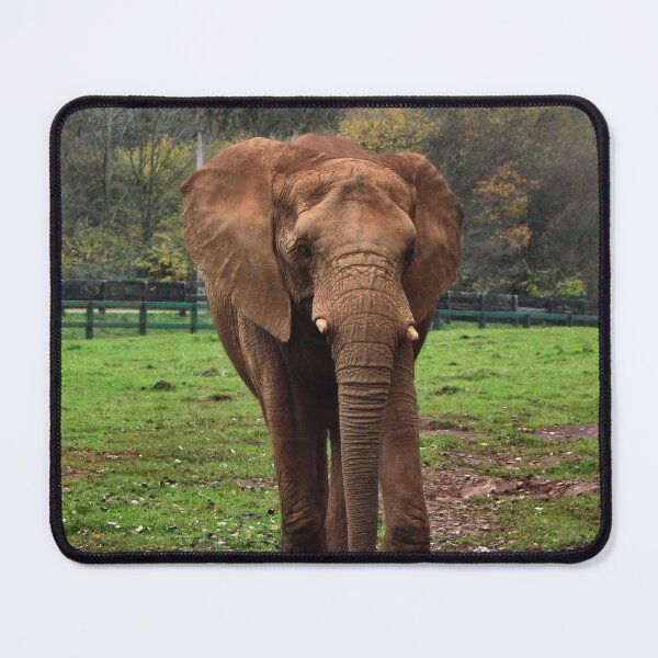 Item preview, The matriarch designed and sold by missmoneypenny.
