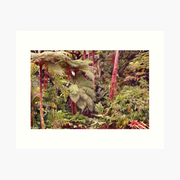 Item preview, Majestic Rainforest designed and sold by OzCamera.