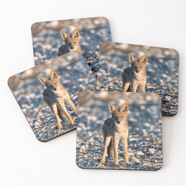 Item preview, Golden Hour Sentinel — Black-backed Jackal on the Savanna, Africa designed and sold by DavideAntoniani.