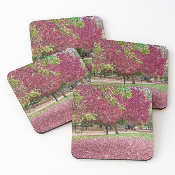 Item preview, Autumn in London. Queen’s Park, October 2025 designed and sold by The Running London Photographer.
