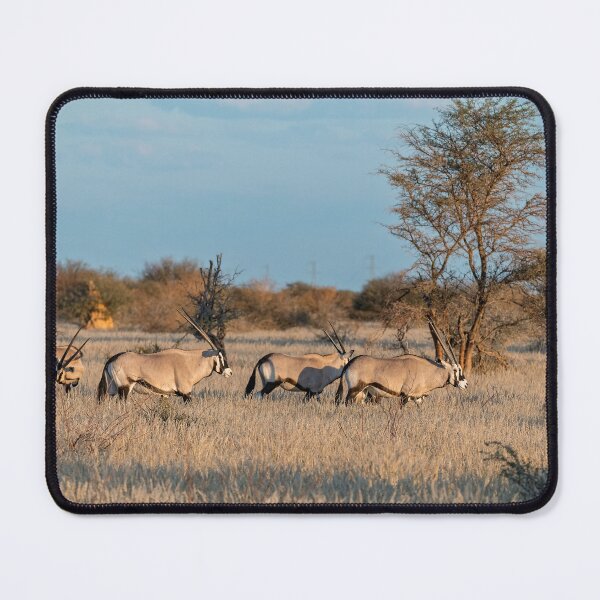 Item preview, Lantern Horns — Gemsbok Herd in Golden Grass, Africa designed and sold by DavideAntoniani.