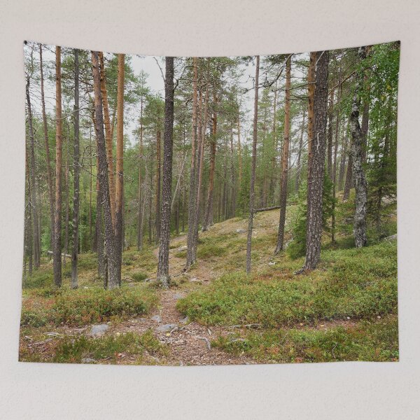 Item preview, Crossing paths. Kuusamo, Ristikallio designed and sold by Jouko Lehto Photography.