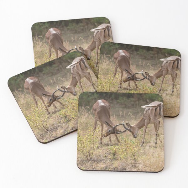Item preview, Locked Horns — Young Impalas Sparring in the Grass, Africa designed and sold by DavideAntoniani.