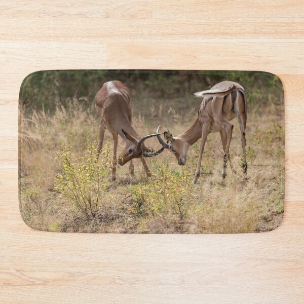 Item preview, Locked Horns — Young Impalas Sparring in the Grass, Africa designed and sold by DavideAntoniani.