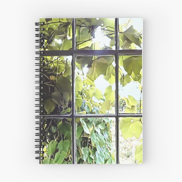 Item preview, Grapevines Seen Through Window designed and sold by Susan Savad.