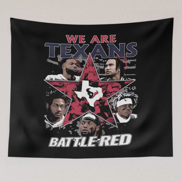 Item preview, Art - Houston Texans designed and sold by ModaDapper.