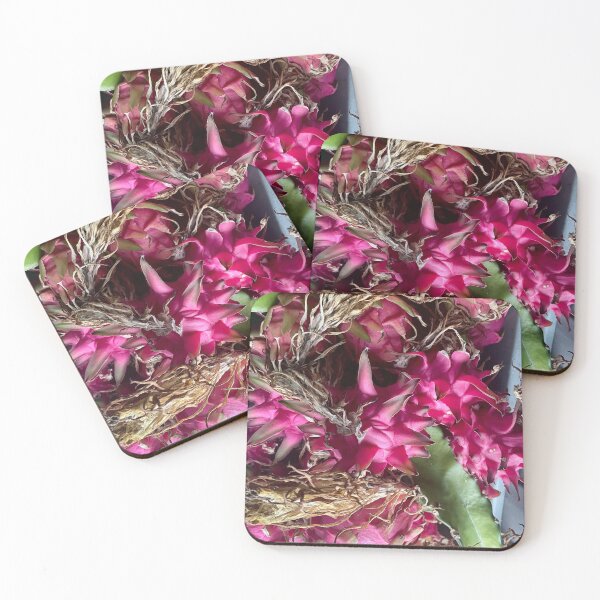 Item preview, Pitaya Cactus Fruit designed and sold by TrisaThyme.