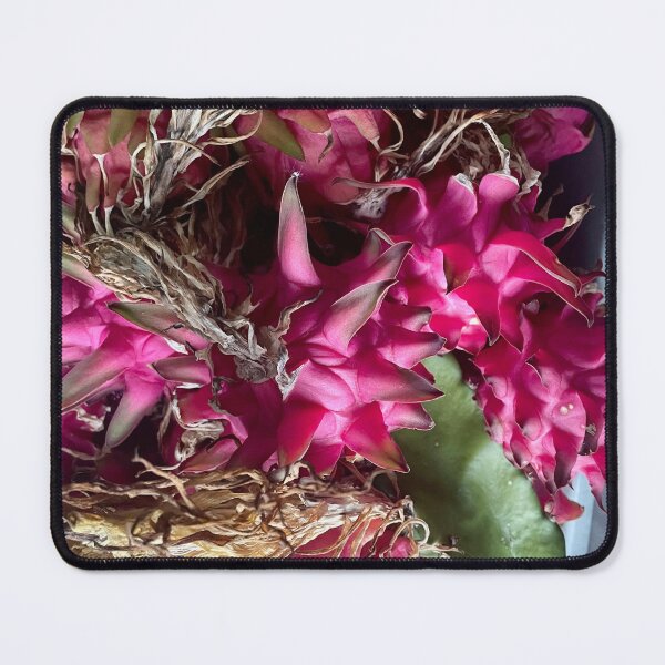 Item preview, Pitaya Cactus Fruit designed and sold by TrisaThyme.