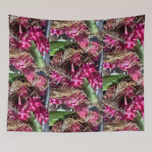 Item preview, Pitaya Cactus Fruit designed and sold by TrisaThyme.