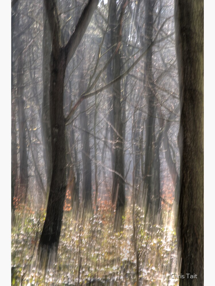 Movement of the Trees by christait