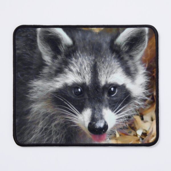 Item preview, Rocky designed and sold by missmoneypenny.
