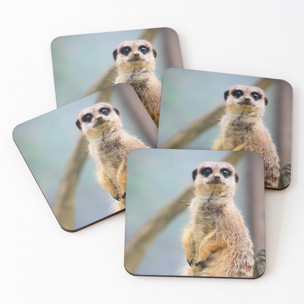 Item preview, Meerly alert designed and sold by missmoneypenny.