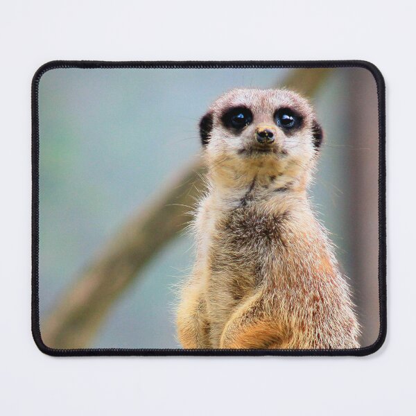 Item preview, Meerly alert designed and sold by missmoneypenny.