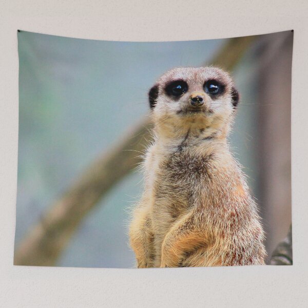 Item preview, Meerly alert designed and sold by missmoneypenny.